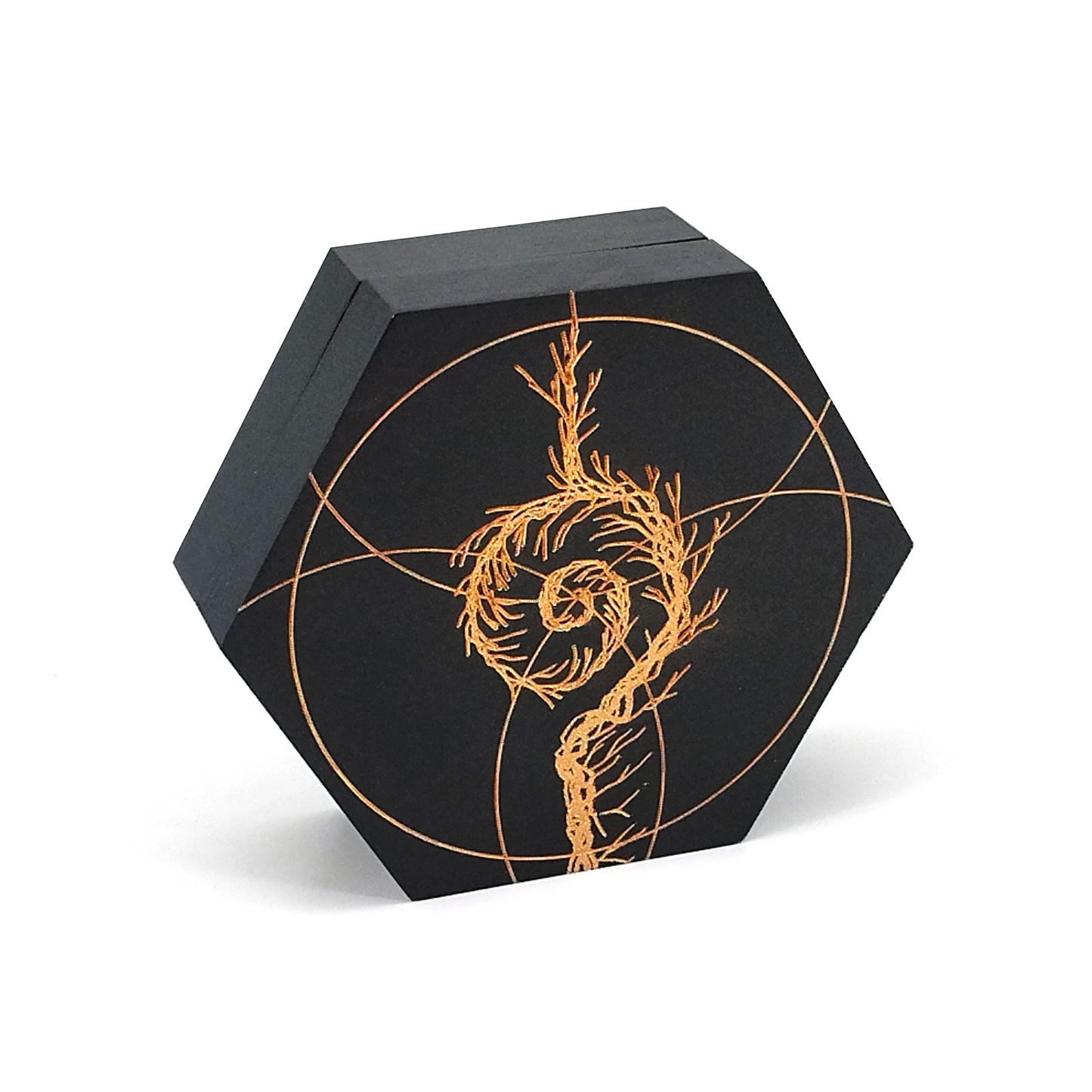Infants of Entropy Dice Set