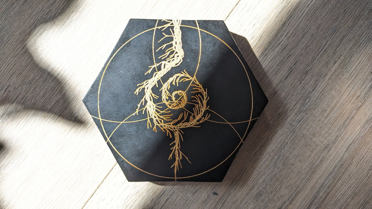 Infants of Entropy Dice Set